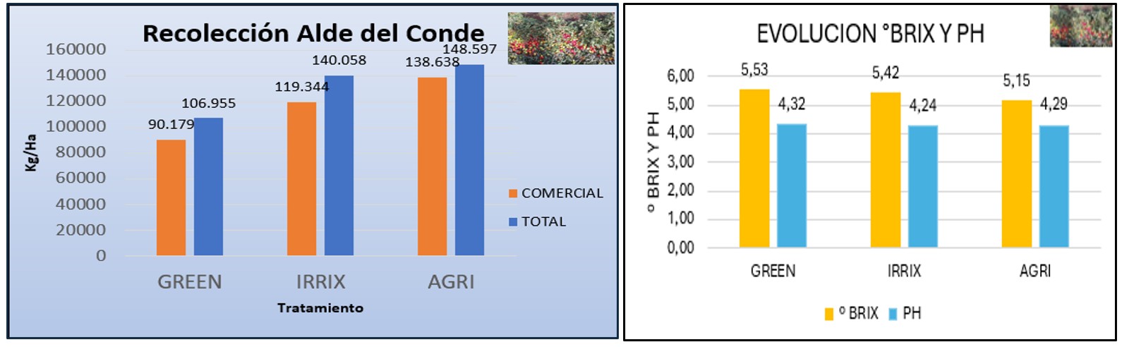 Digispac%20figura%2019